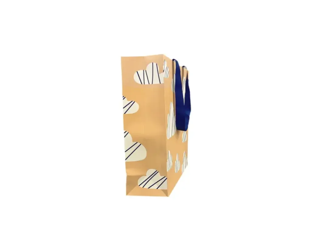 Reusable Paper Bag With Silk Fabric Handle Beauty Shopping Bags - Image 2