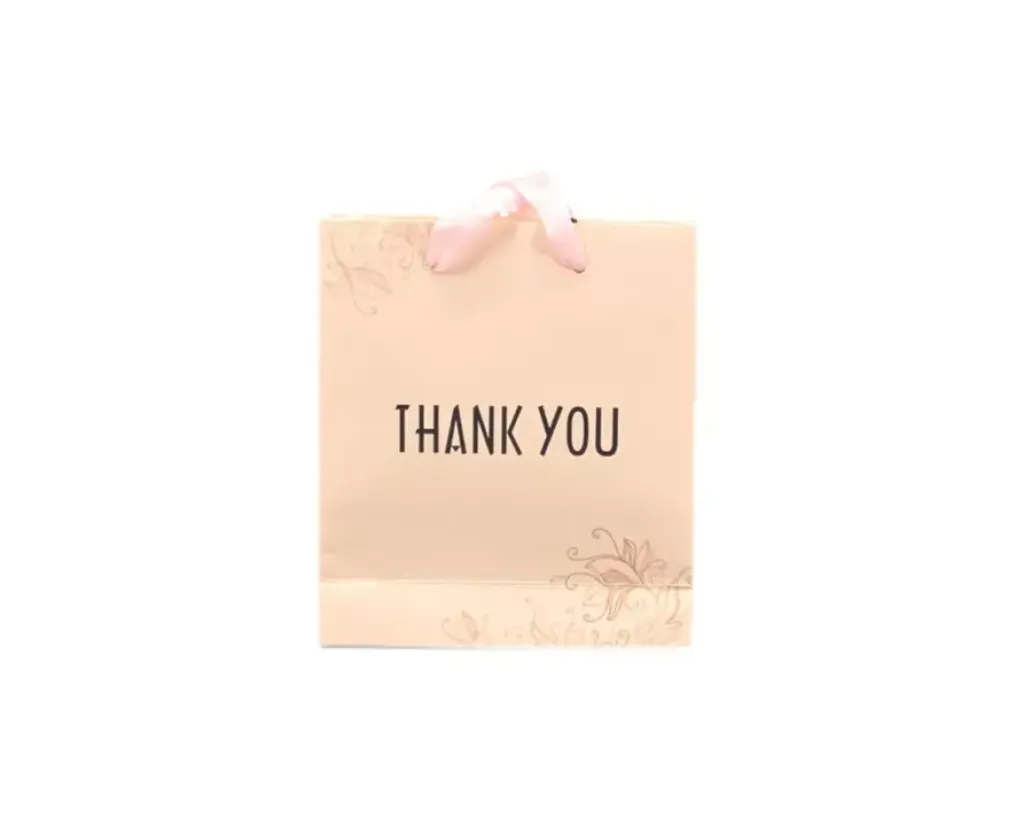 Paper Bag With Silk Fabric Handle Beauty Shopping Bags