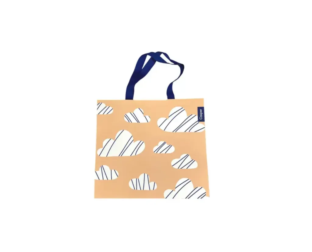 Paper Bag With Silk Fabric Handle Beauty Shopping Bags